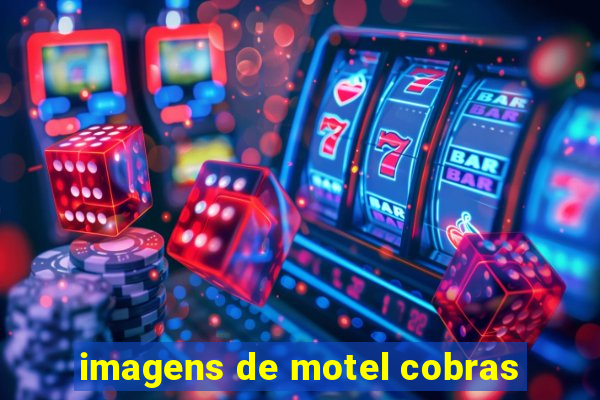 imagens de motel cobras